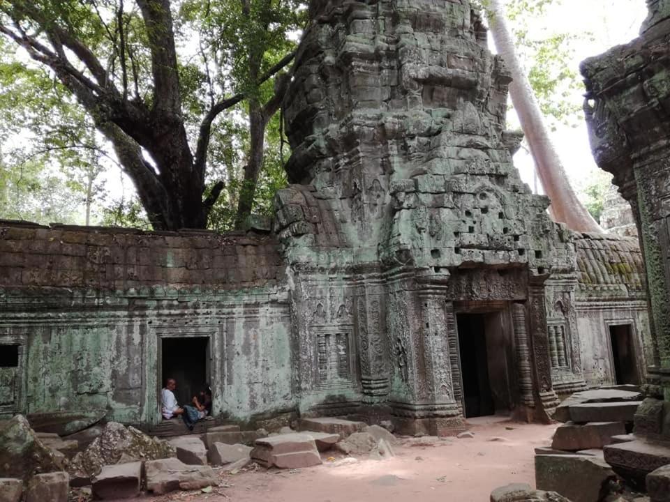 Angkor Magic Tree Boutique Hotel Siem Reap Ngoại thất bức ảnh